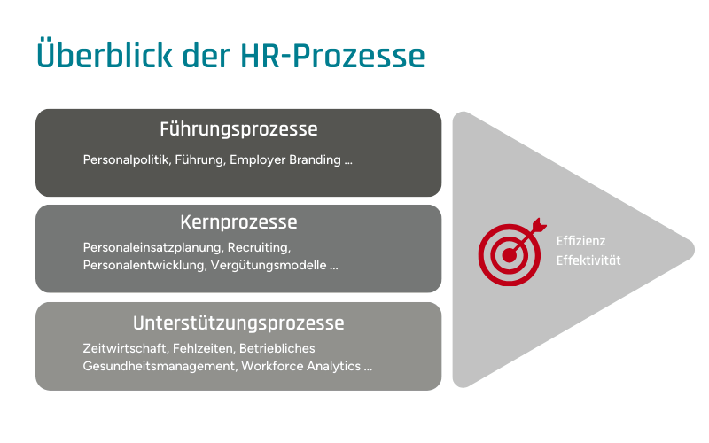 Infografische Darstellung der verschiedenen HR-Prozesse, wie z.B. Führungsprozesse