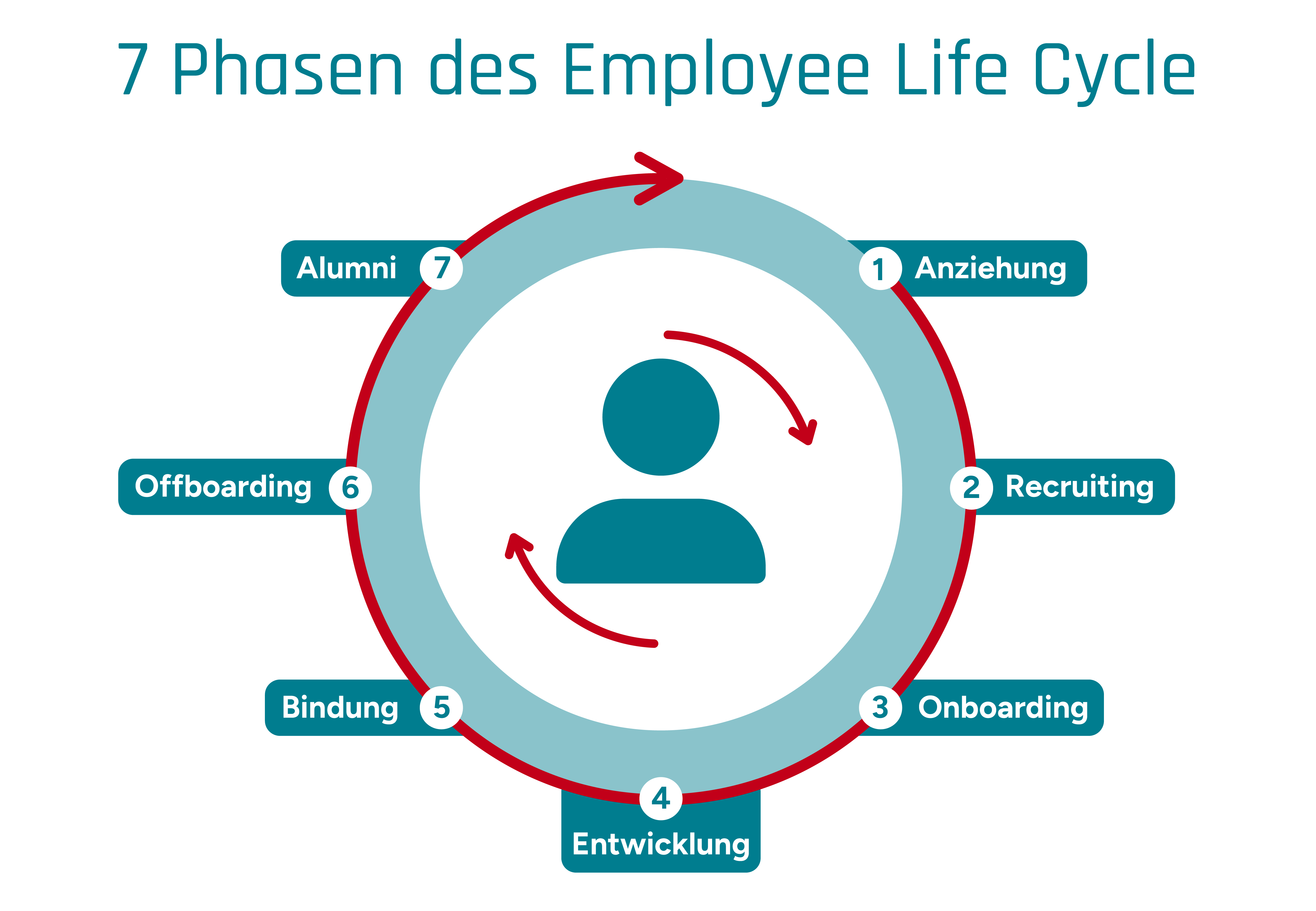 7 Phasen des Employee Lifecycle in einer Infografik dargestellt mit Kreislauf des Lebenszyklus im professionellen Umfeld.