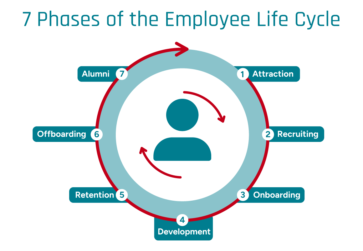 Infographic showing the 7 phases of the employee lifecycle